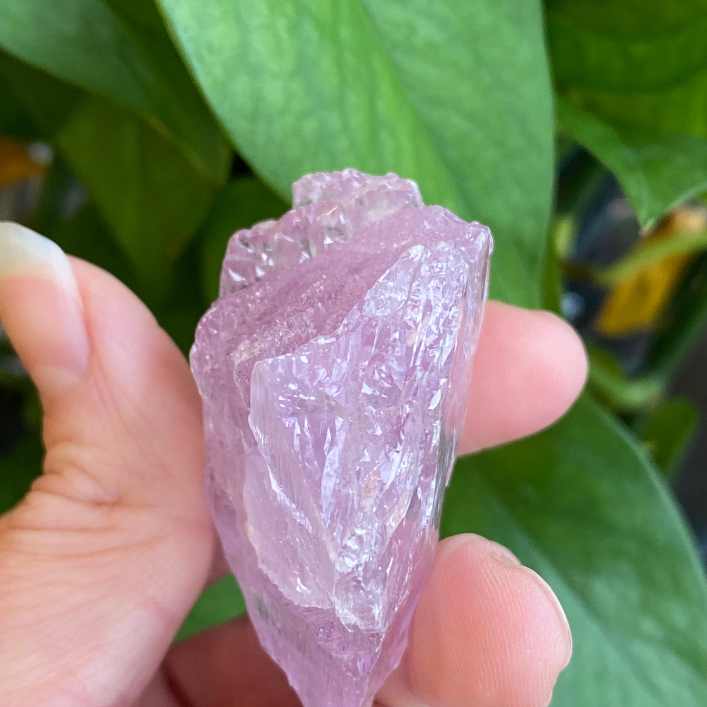 Kunzite Crystal, Water Etched, Multi-Terminated, Self Healed Specimen