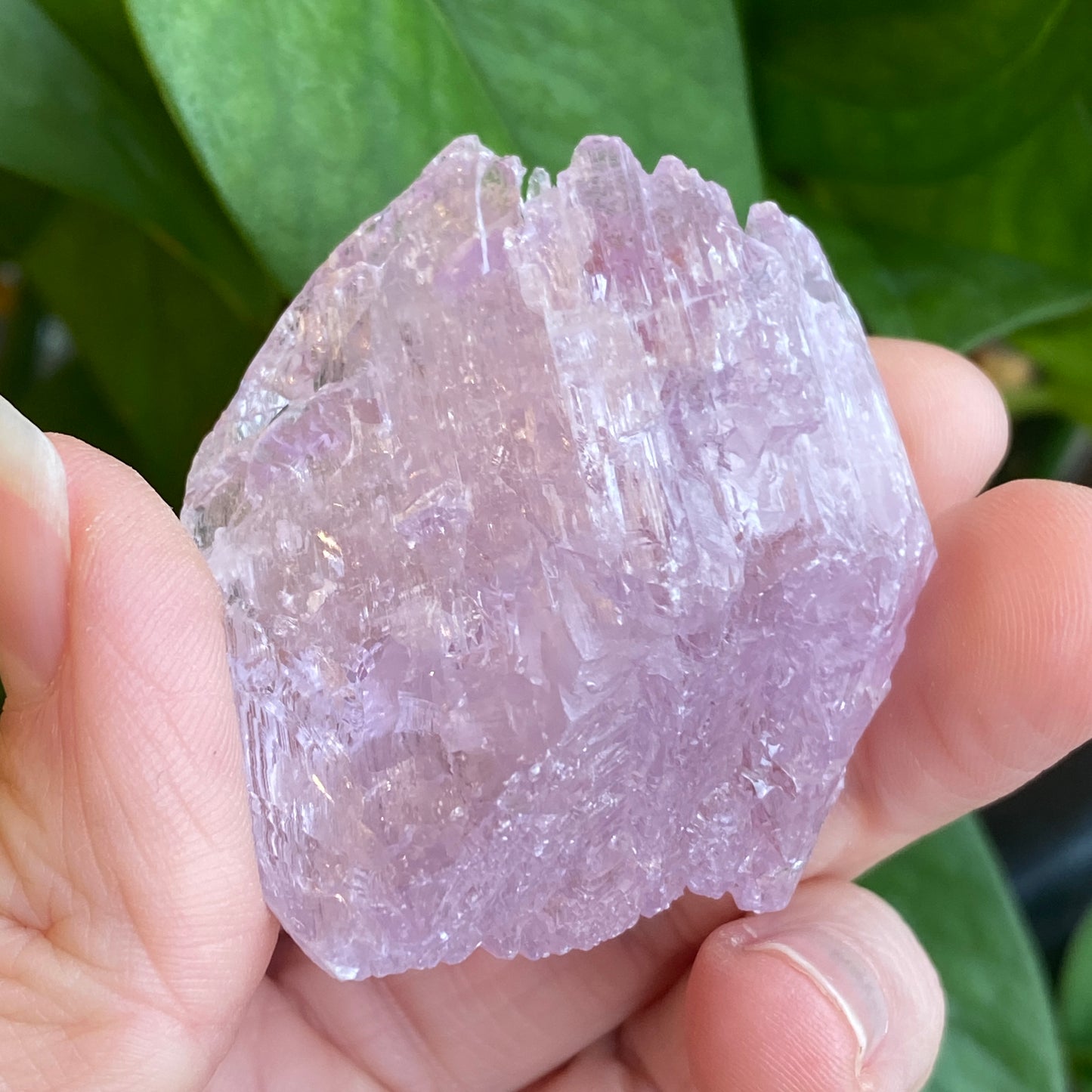 Kunzite Crystal, Water Etched, Multi-Terminated, Self Healed Specimen