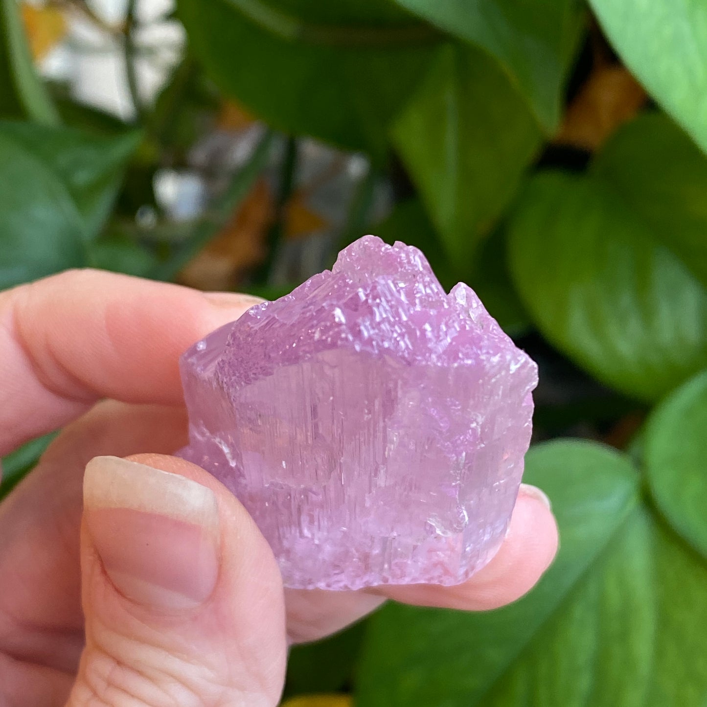 Kunzite Crystal, Water Etched, Multi-Terminated, Self Healed Specimen