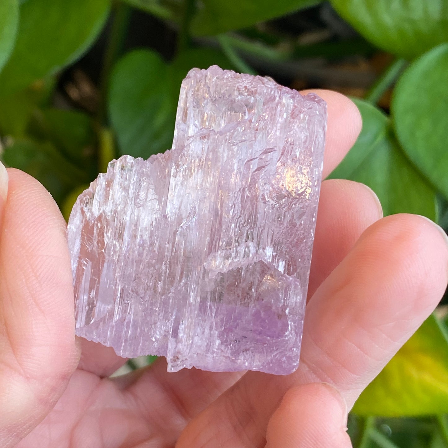 Kunzite Crystal, Water Etched, Multi-Terminated, Self Healed Specimen