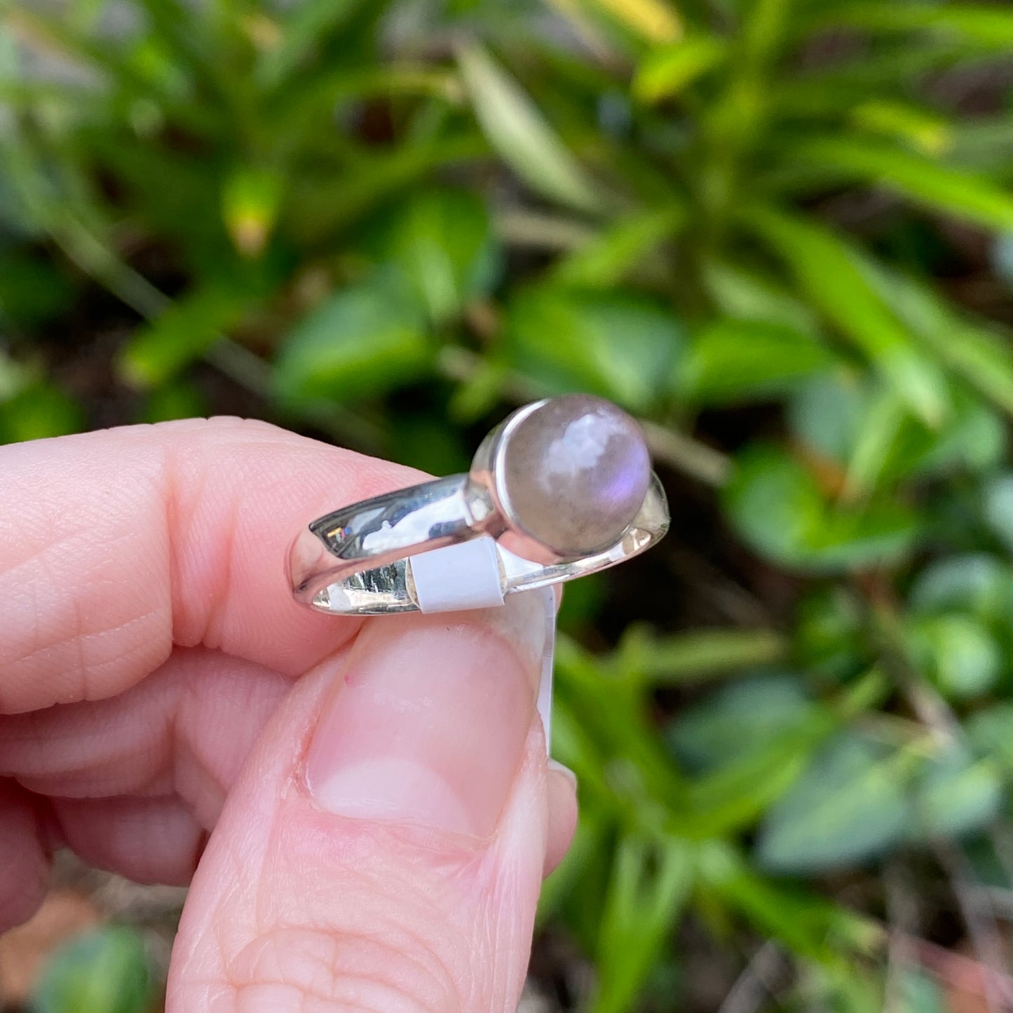 Labradorite Ring, Size 8
