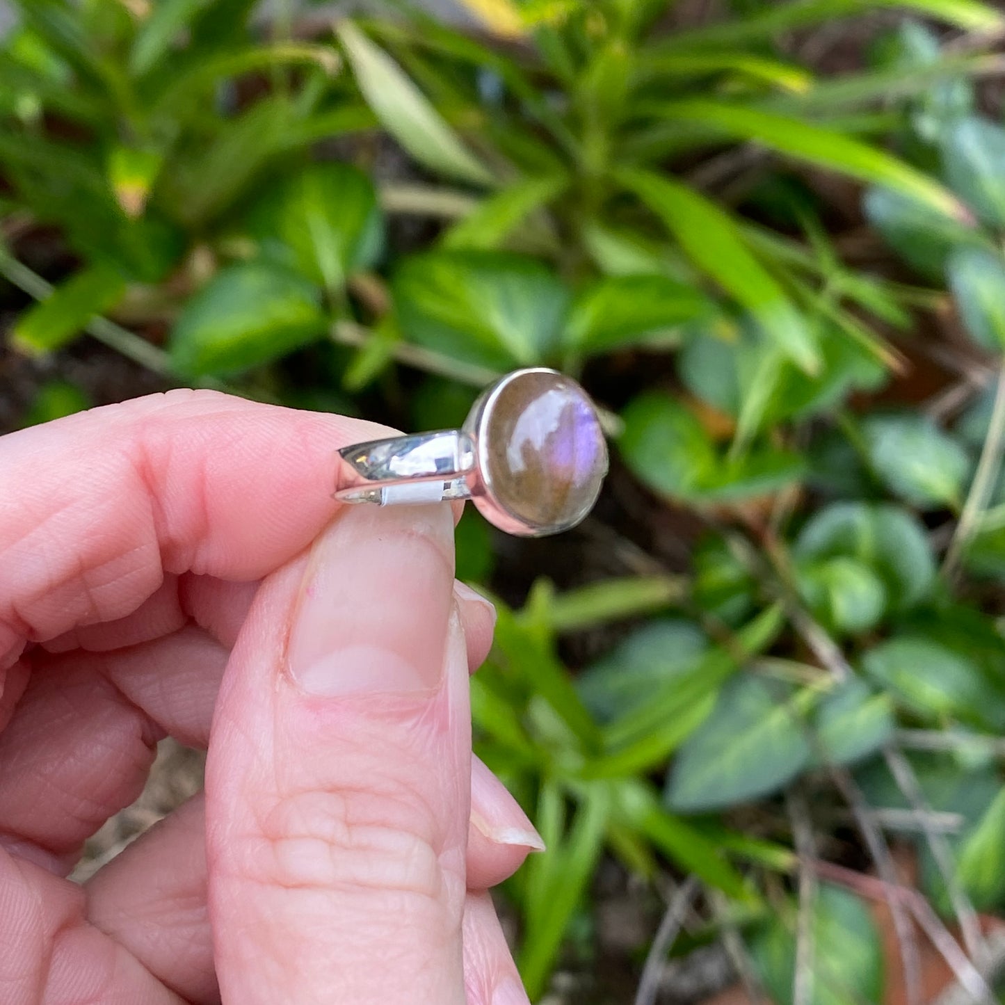 Labradorite Ring, Size 7