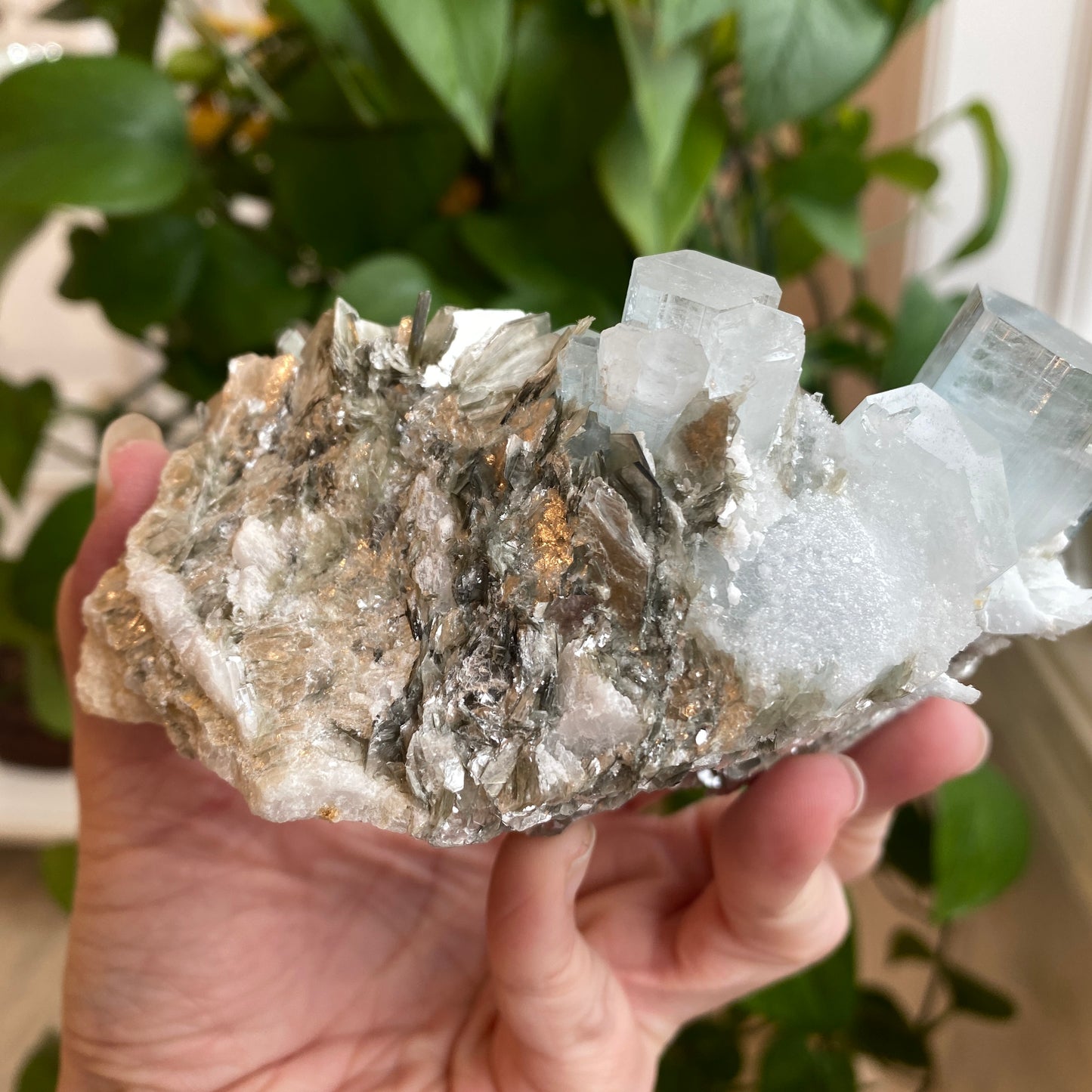 Aquamarine In Mica, Large Specimen