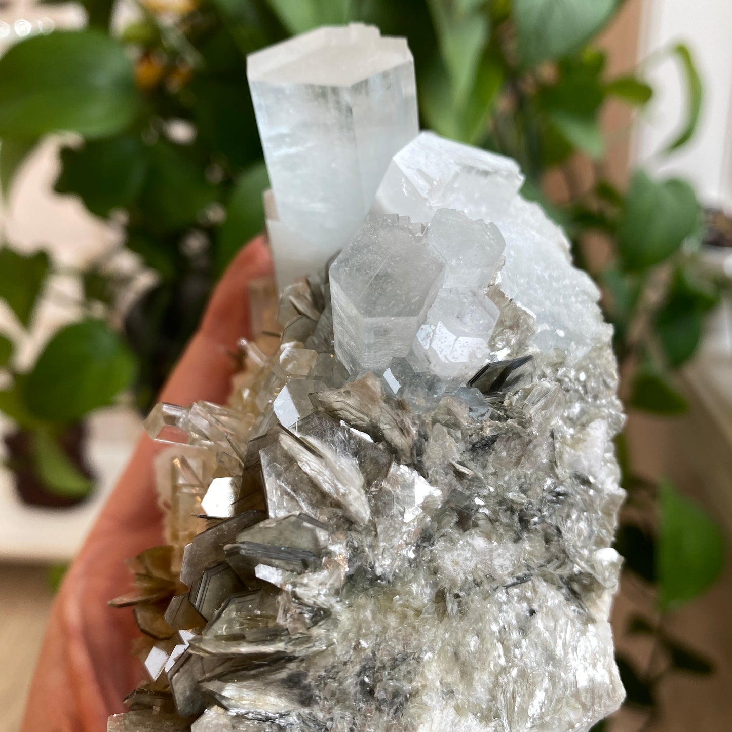 Aquamarine In Mica, Large Specimen