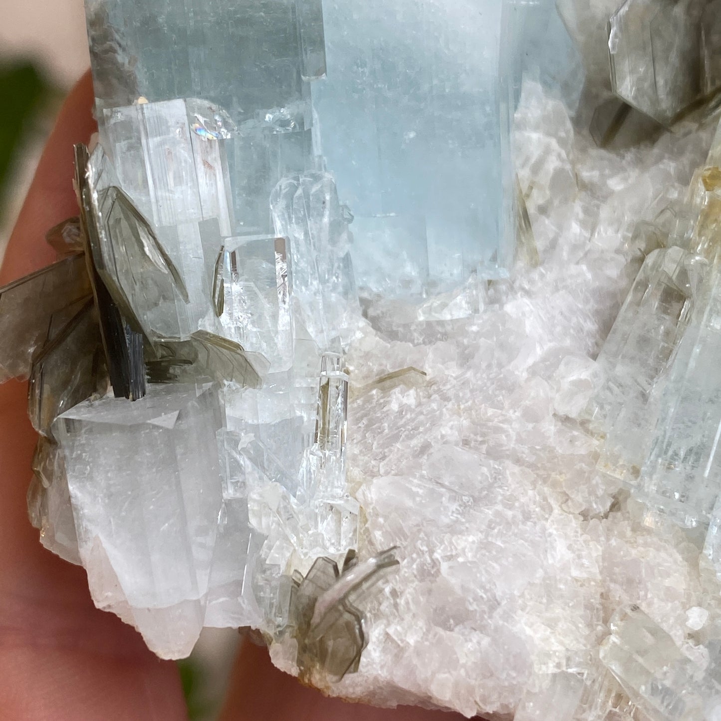 Aquamarine In Mica, Large Specimen