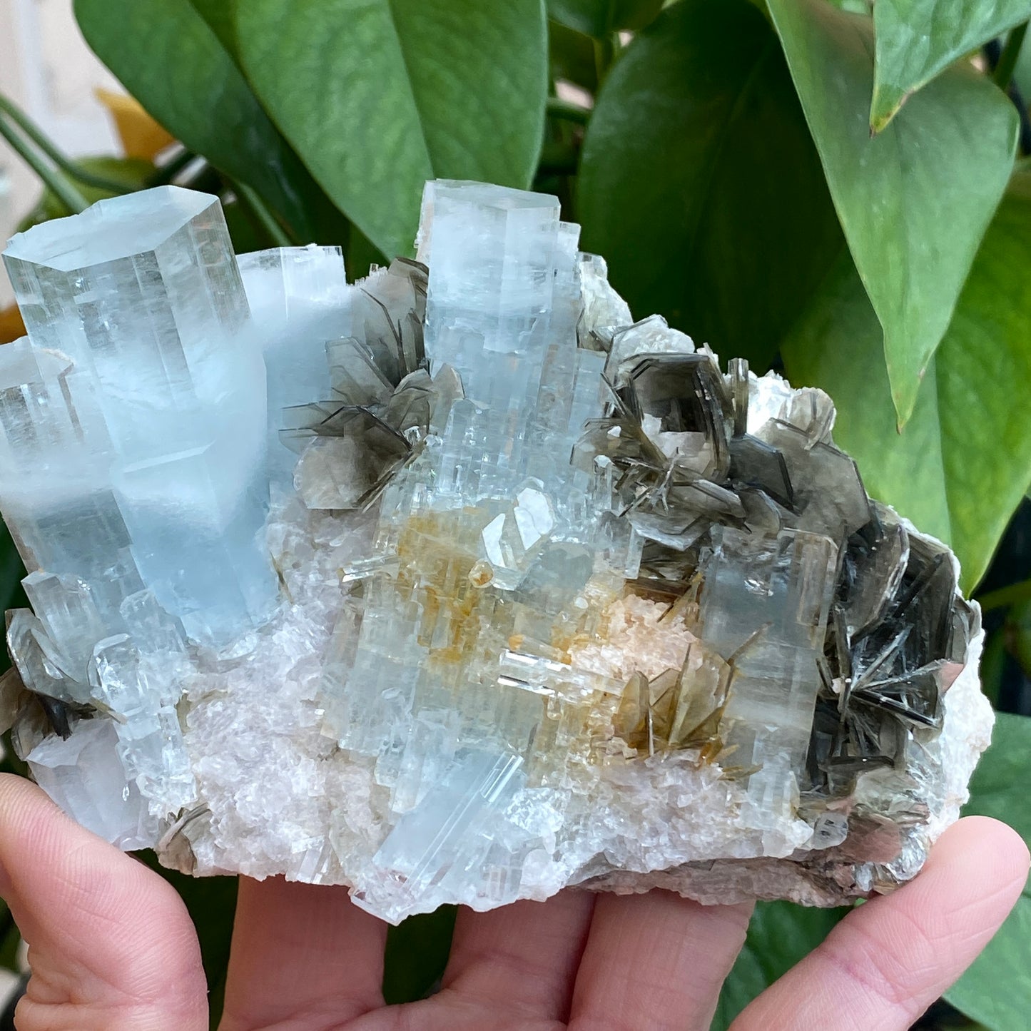 Aquamarine In Mica, Large Specimen