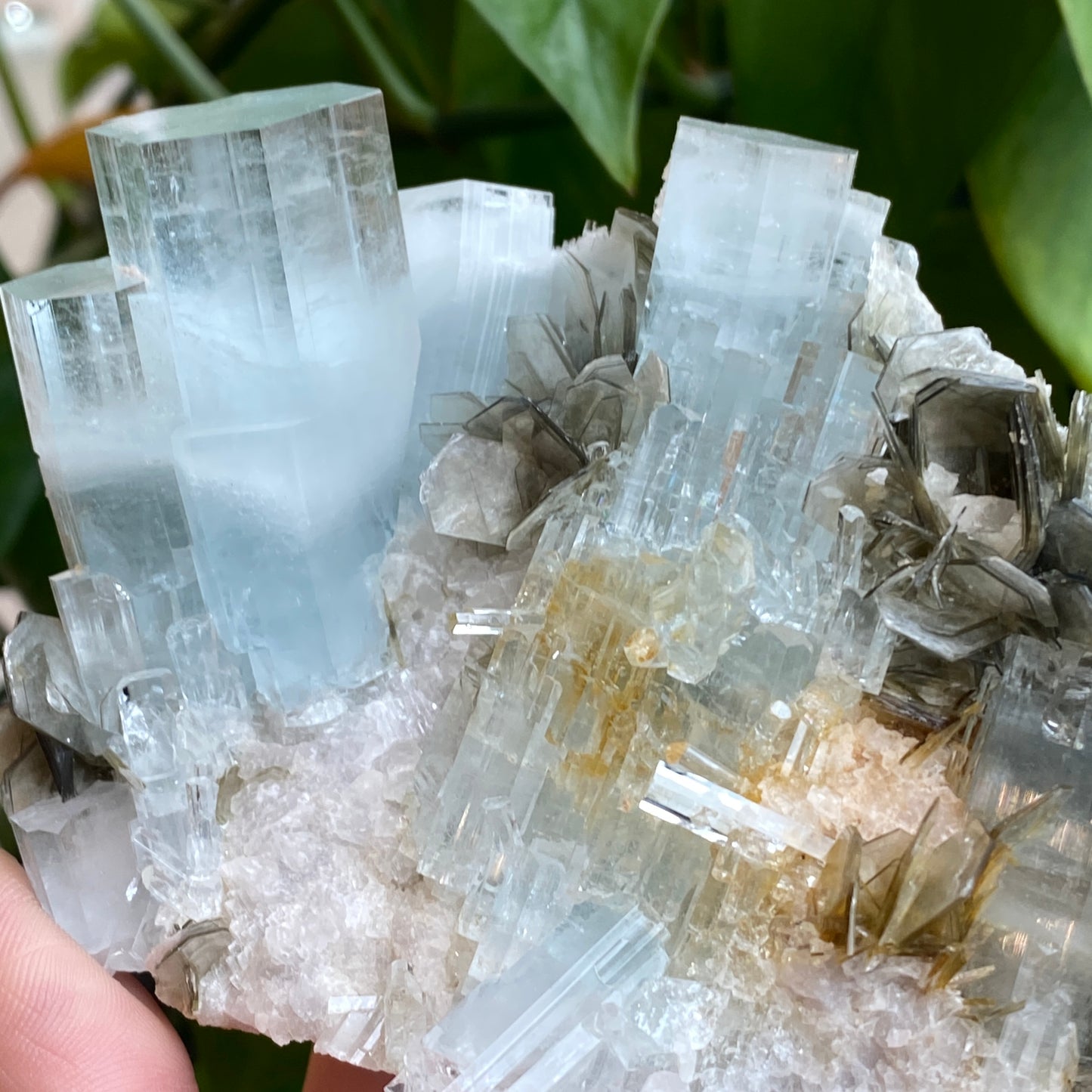 Aquamarine In Mica, Large Specimen