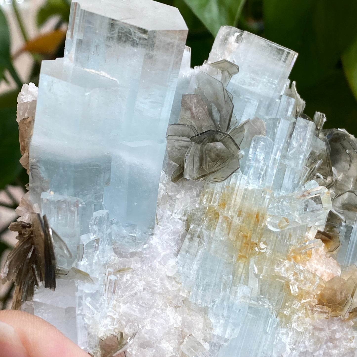 Aquamarine In Mica, Large Specimen