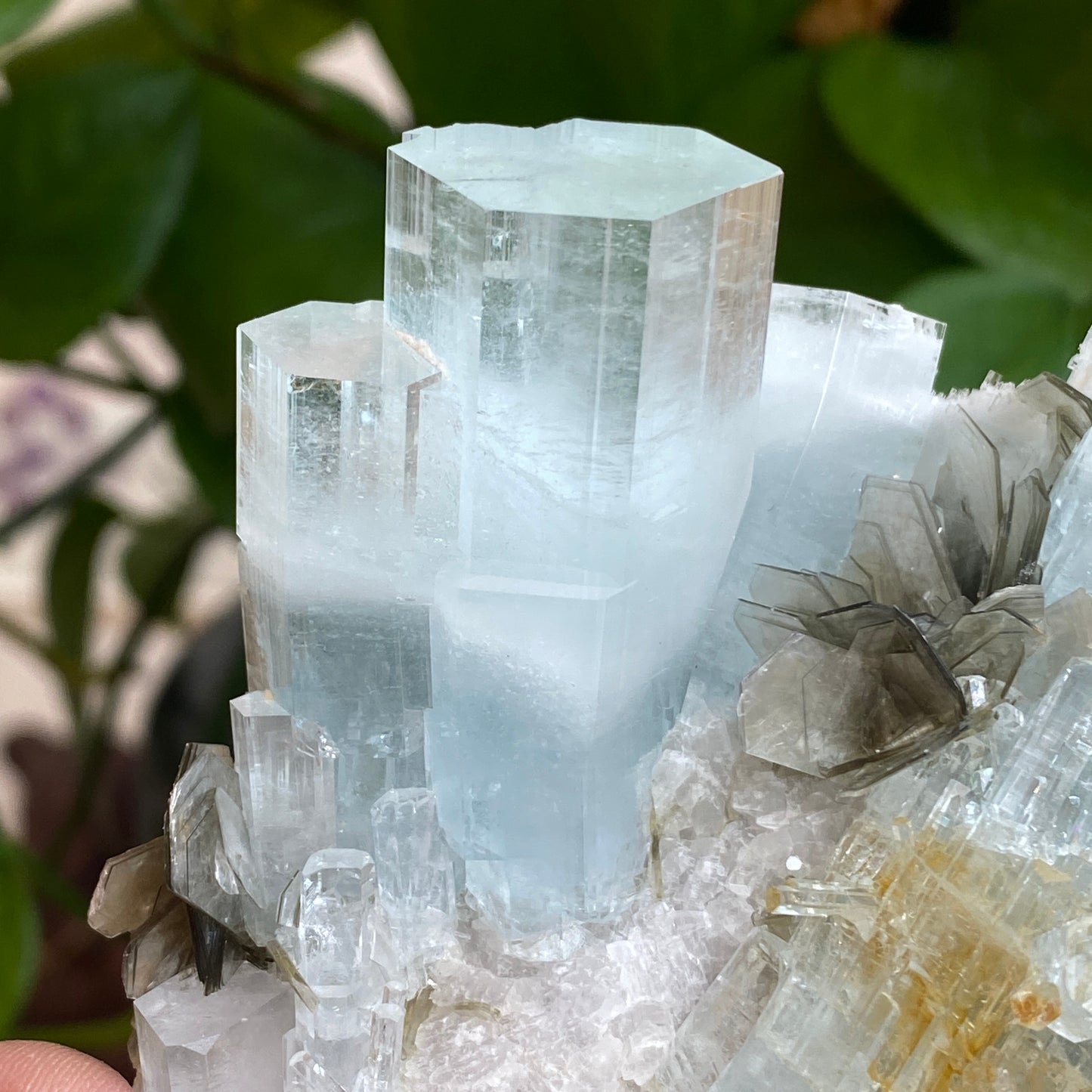 Aquamarine In Mica, Large Specimen