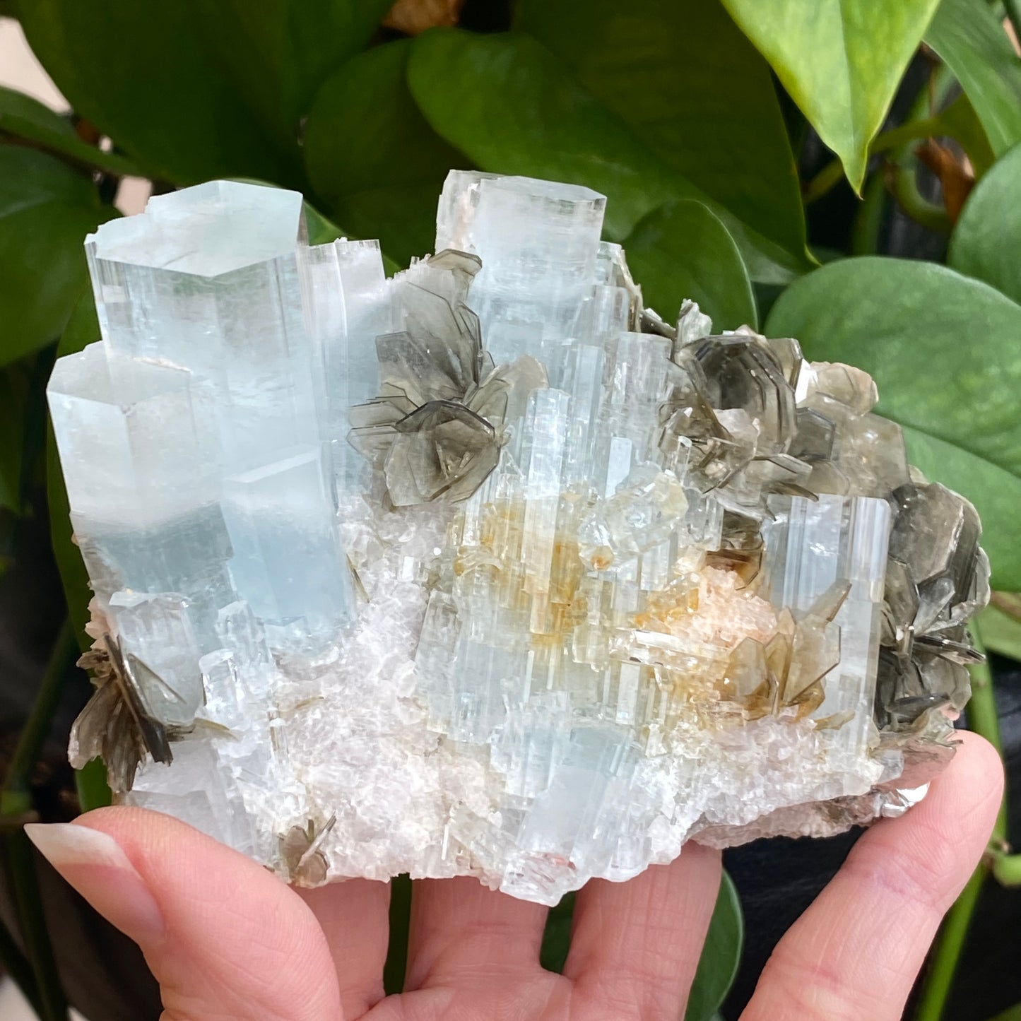 Aquamarine In Mica, Large Specimen