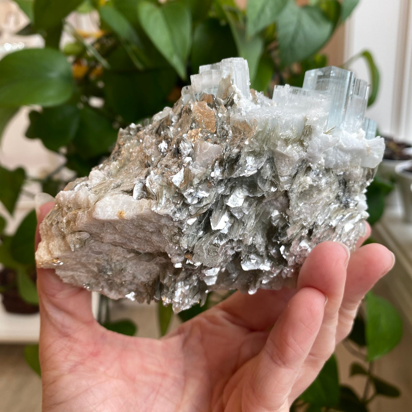 Aquamarine In Mica, Large Specimen