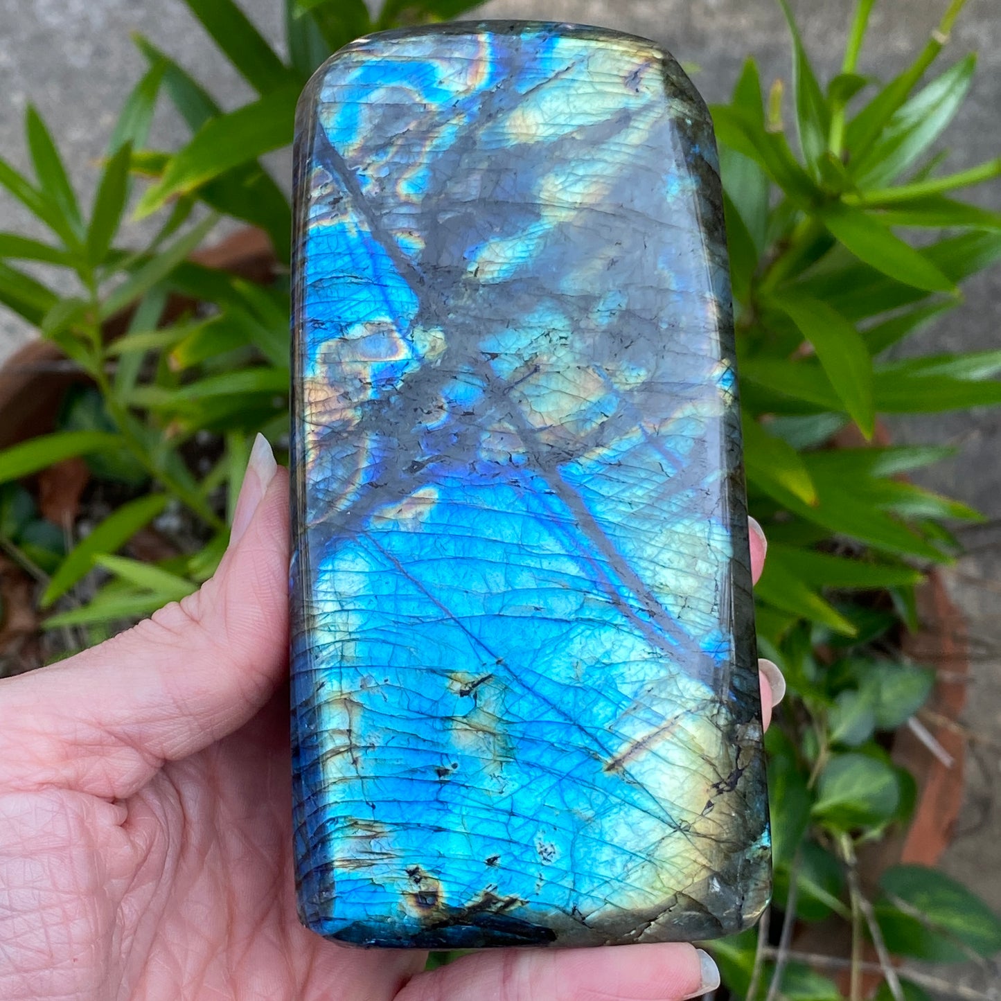 Labradorite Freeform