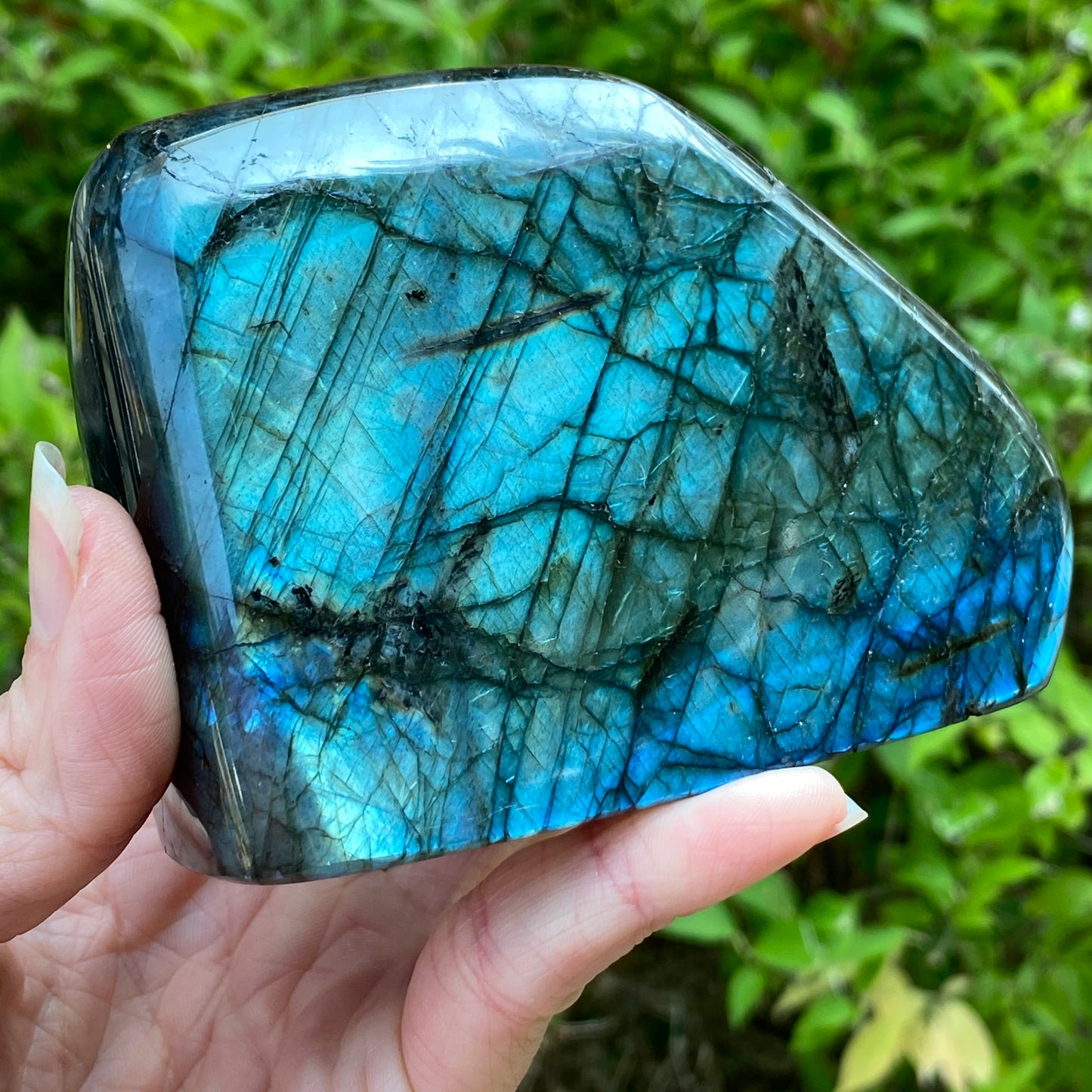 Labradorite Freeform