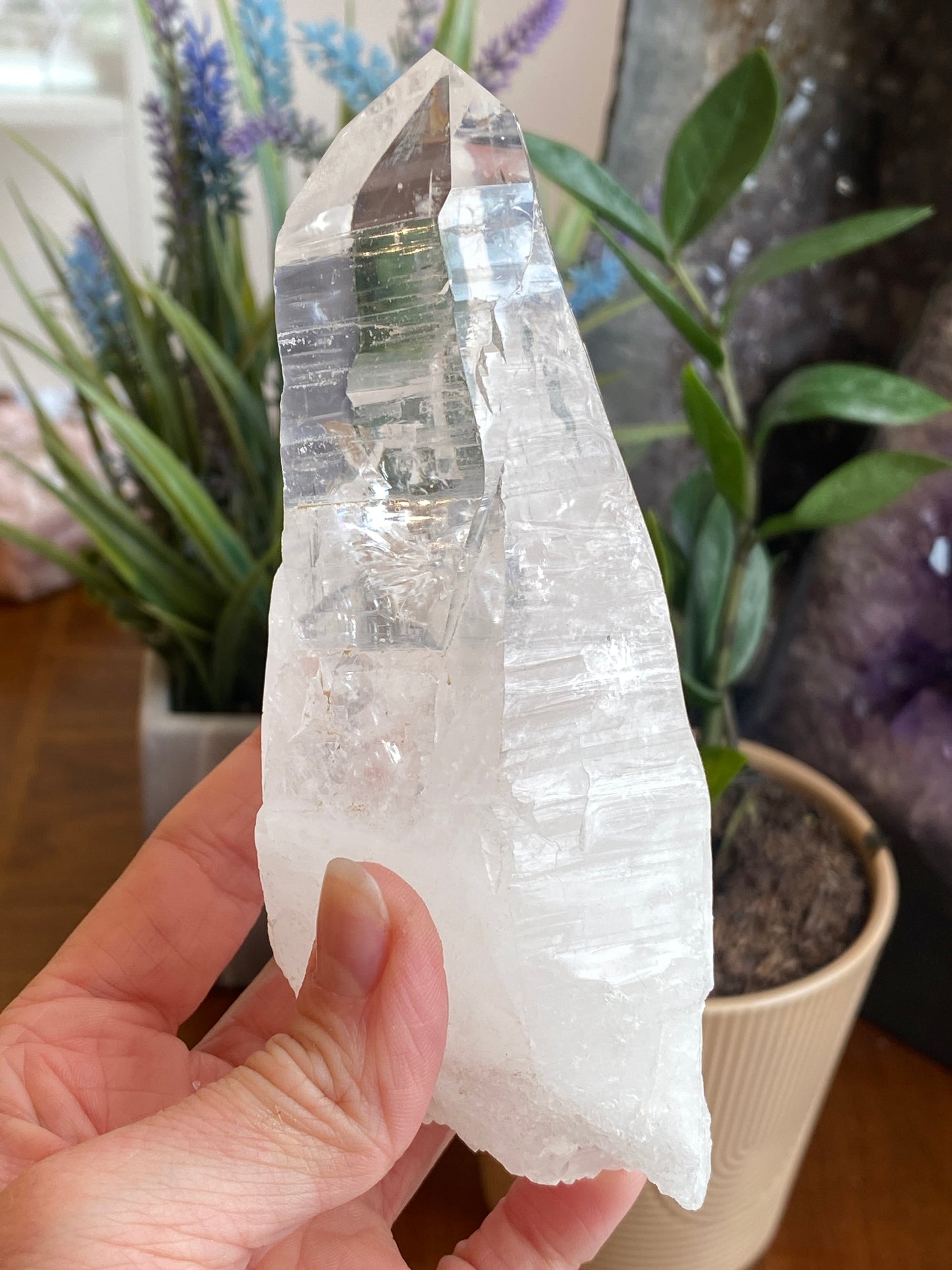Lemurian Quartz