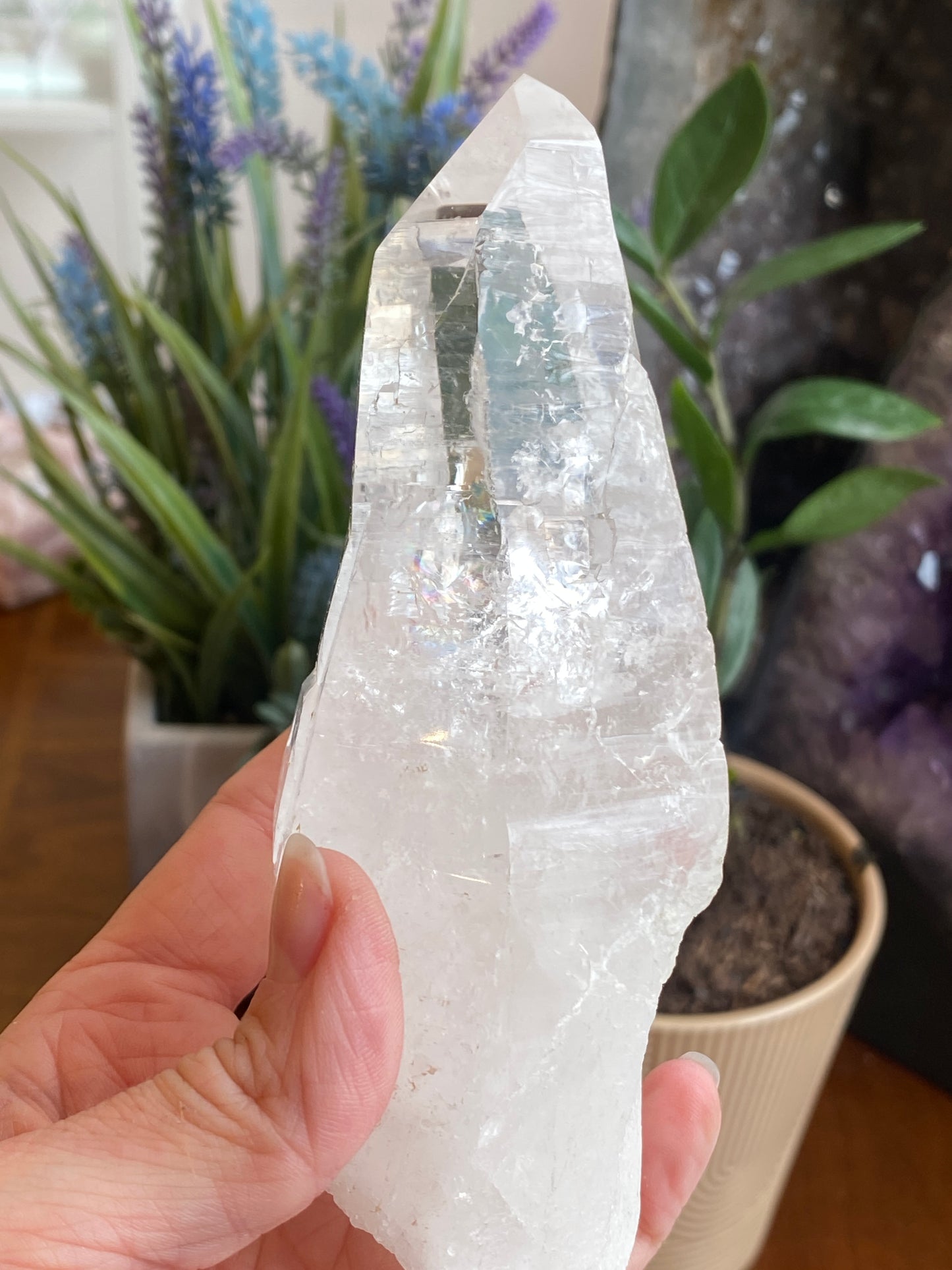 Lemurian Quartz