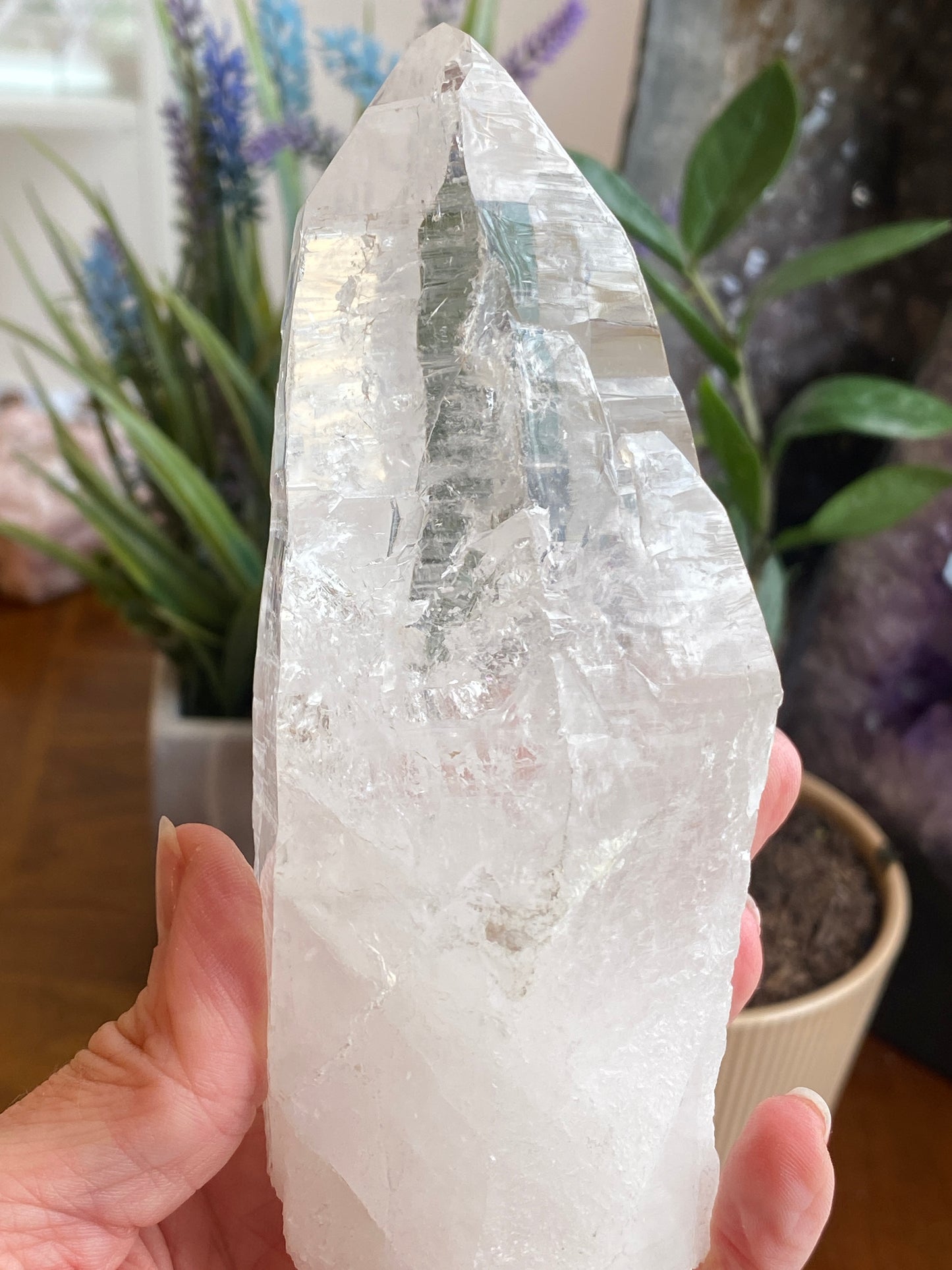 Lemurian Quartz