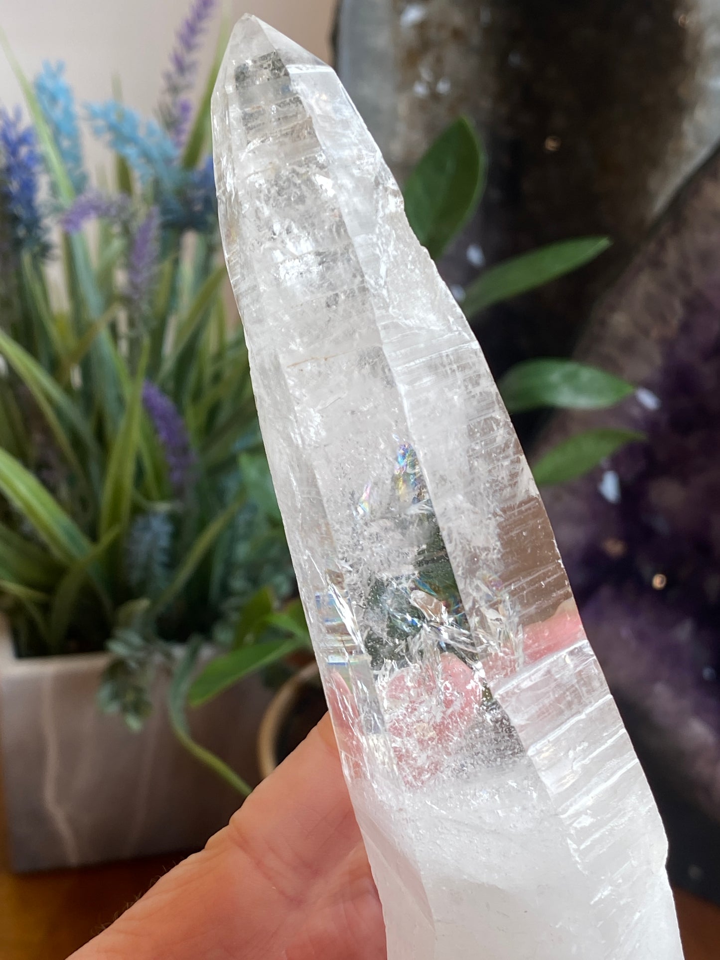 Lemurian Quartz