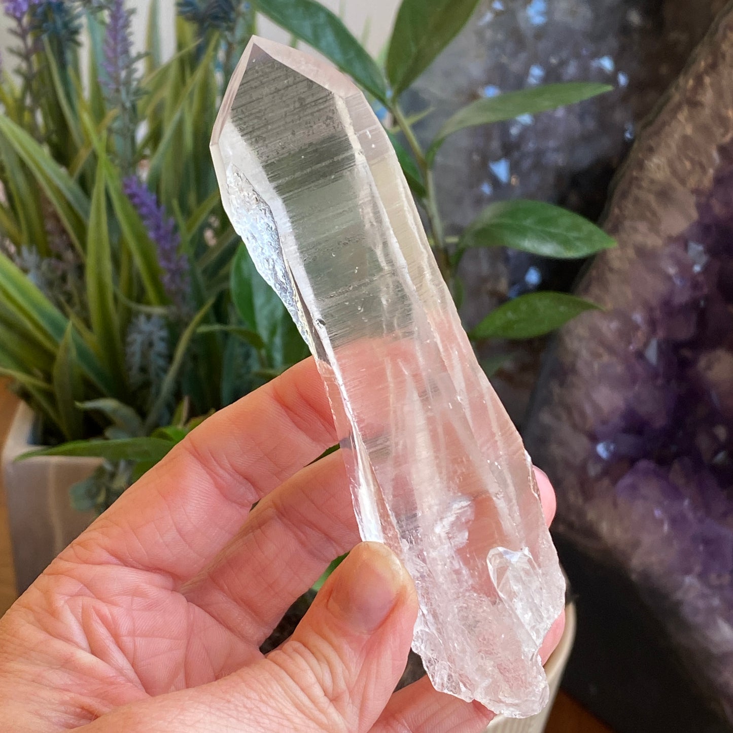 Lemurian Quartz