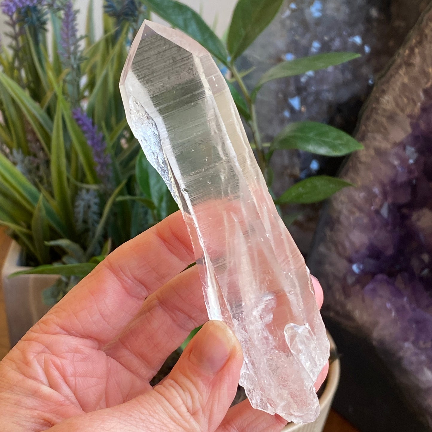 Lemurian Quartz