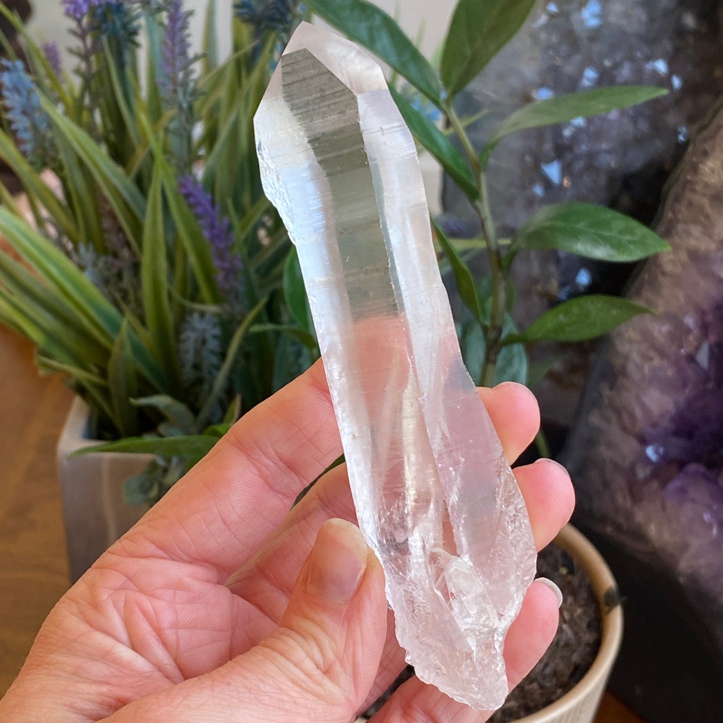 Lemurian Quartz