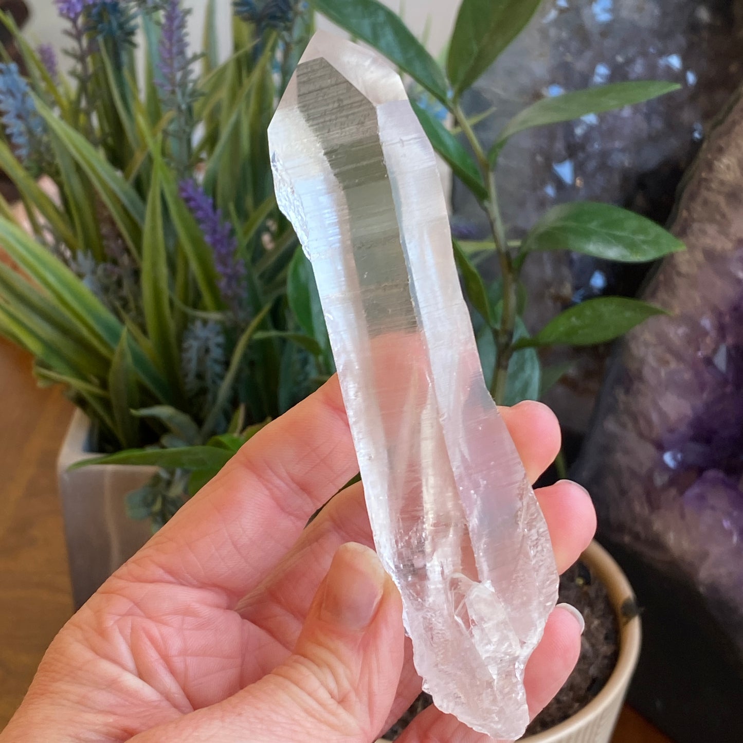 Lemurian Quartz