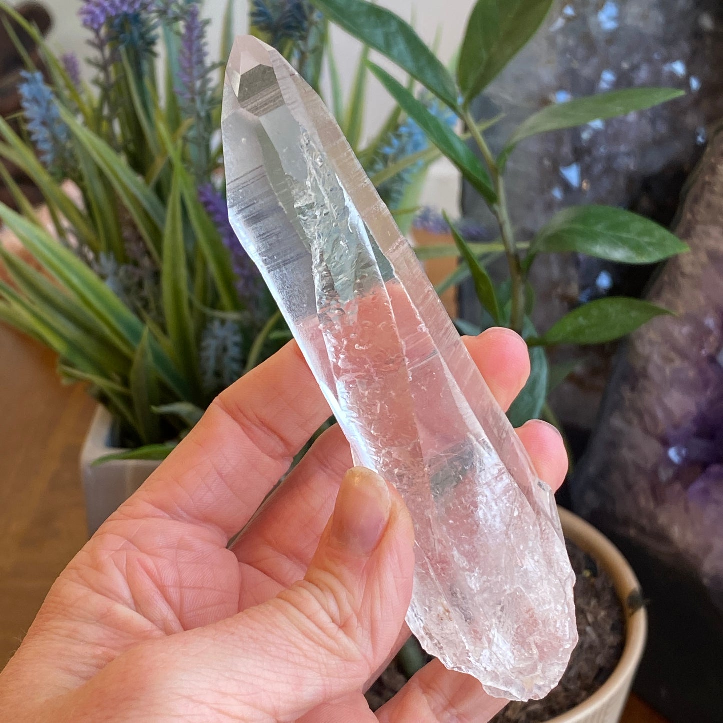 Lemurian Quartz