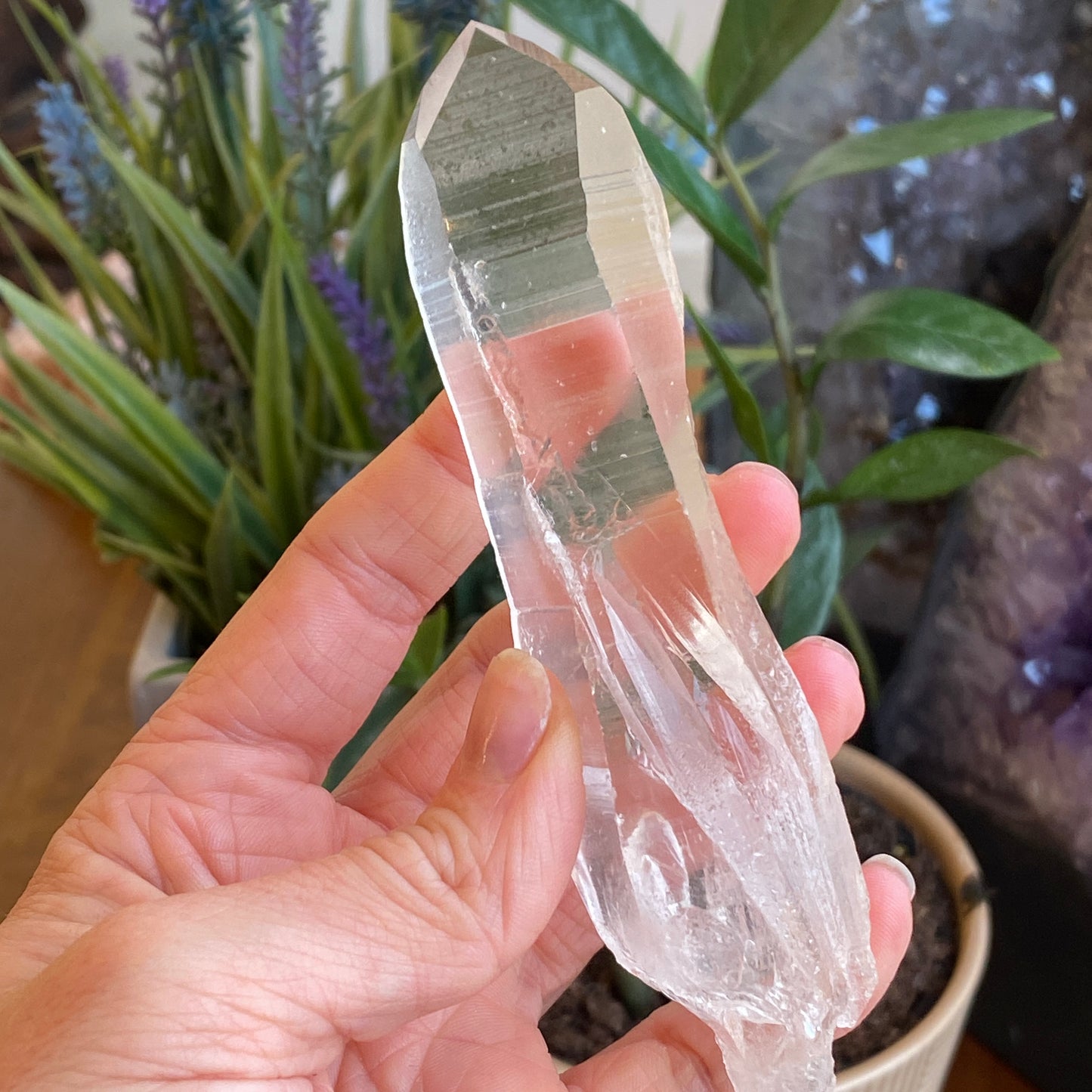 Lemurian Quartz
