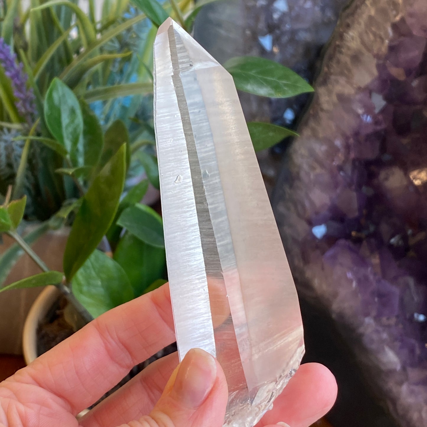 Lemurian Quartz