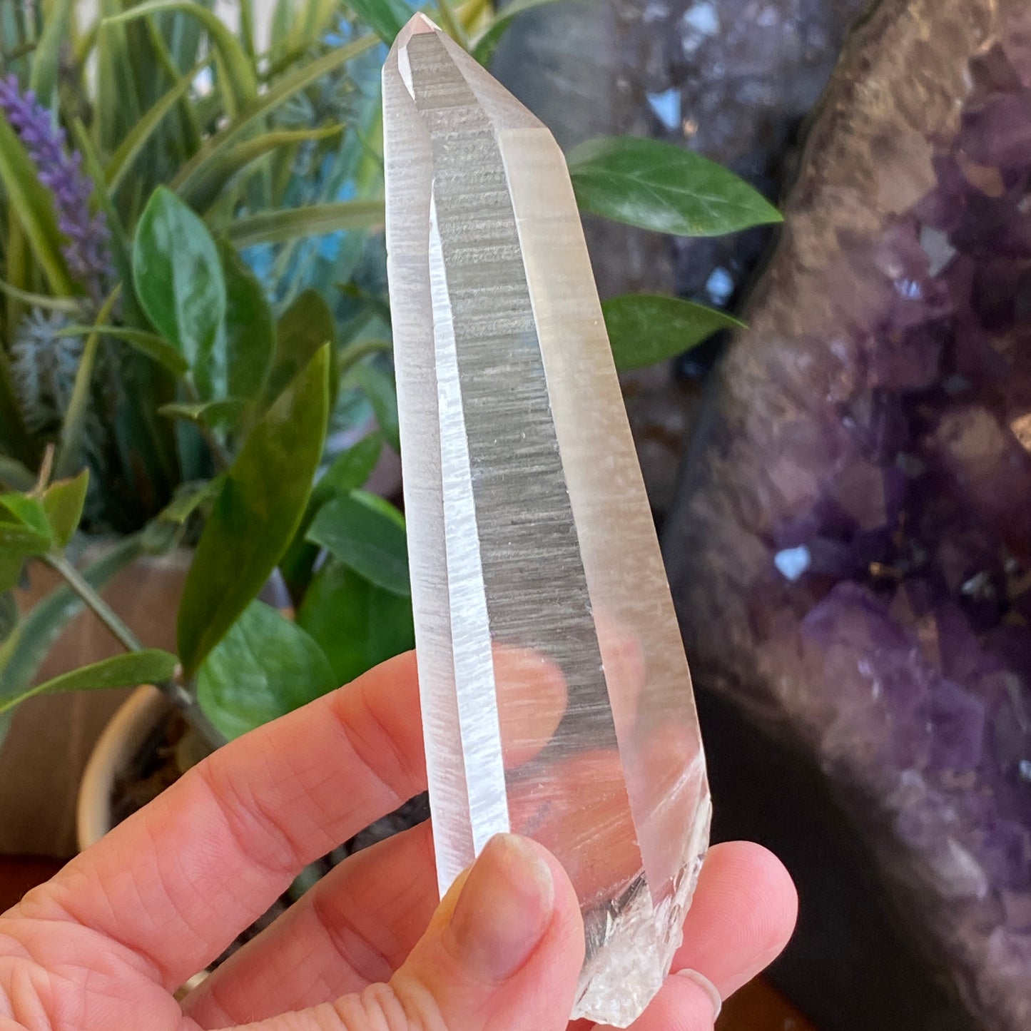 Lemurian Quartz