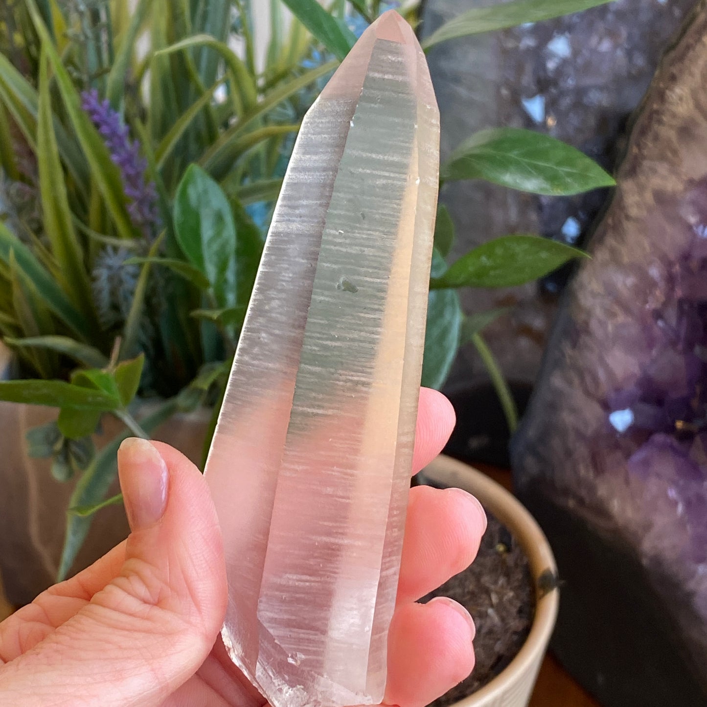 Lemurian Quartz