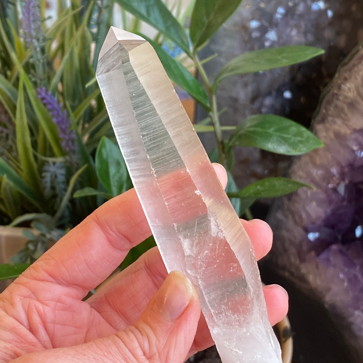 Lemurian Quartz
