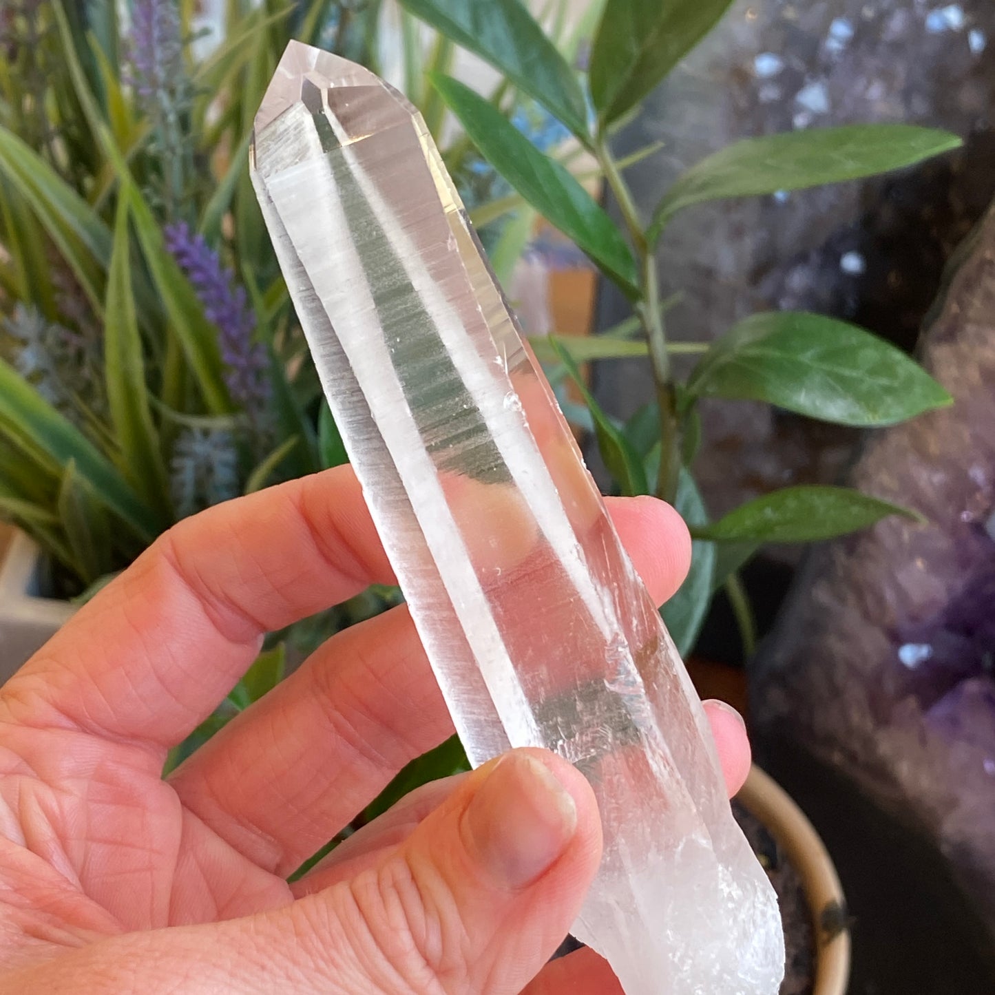 Lemurian Quartz