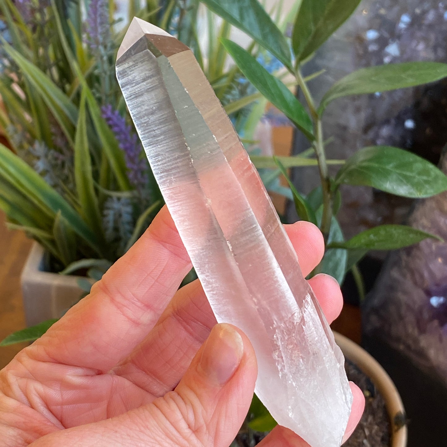 Lemurian Quartz