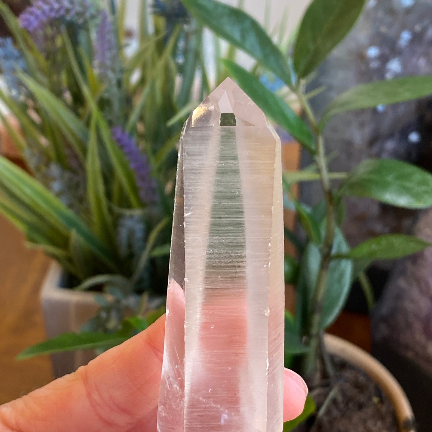 Lemurian Quartz