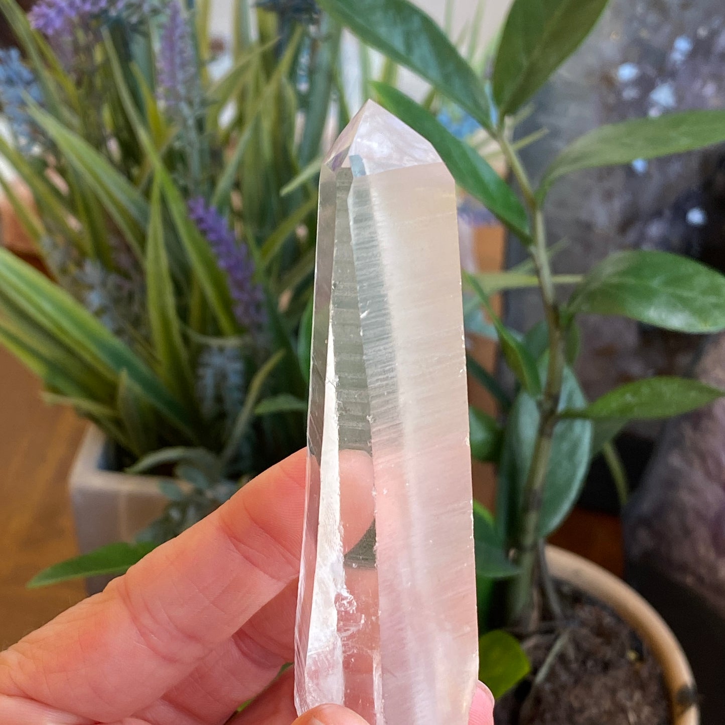 Lemurian Quartz
