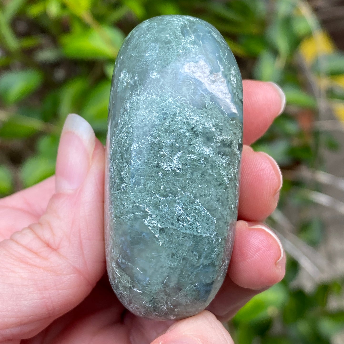 Moss Agate Palm Stone