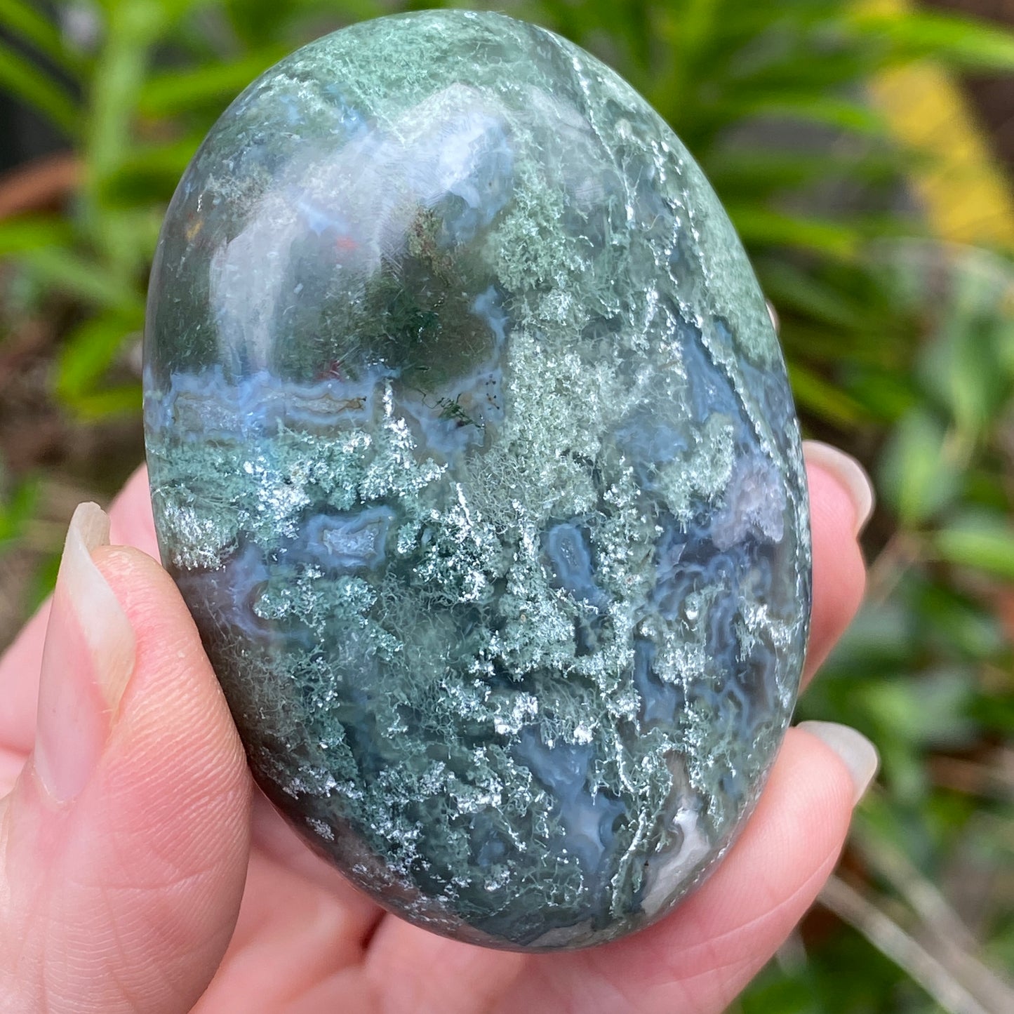 Moss Agate Palm Stone
