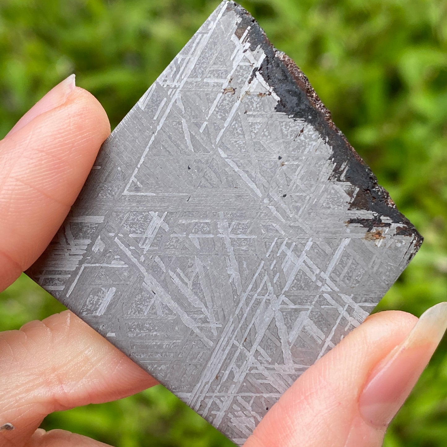Muonionalusta Meteorite