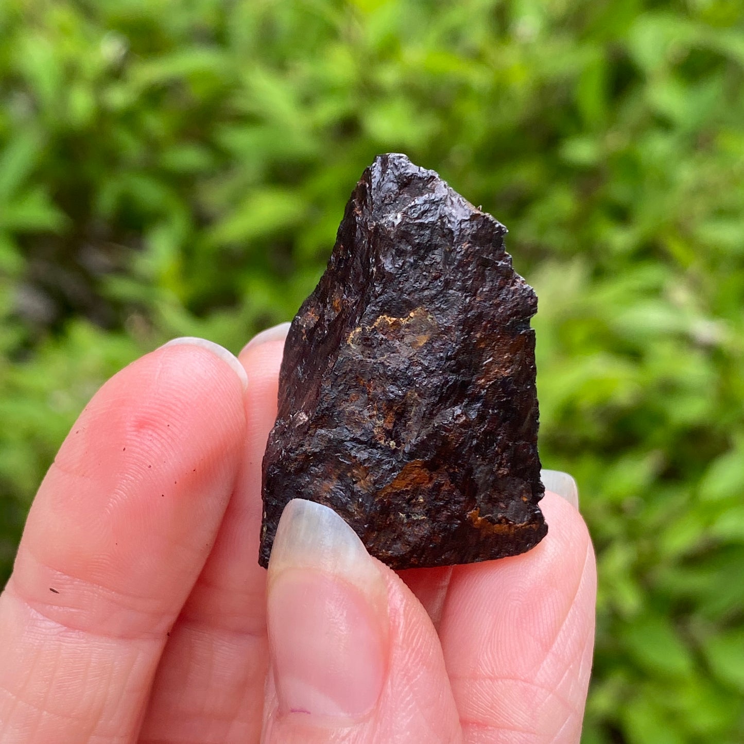 Muonionalusta Meteorite