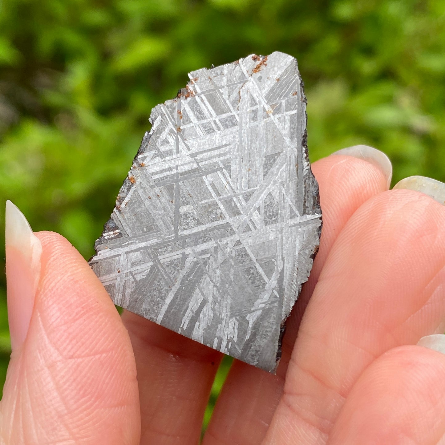 Muonionalusta Meteorite