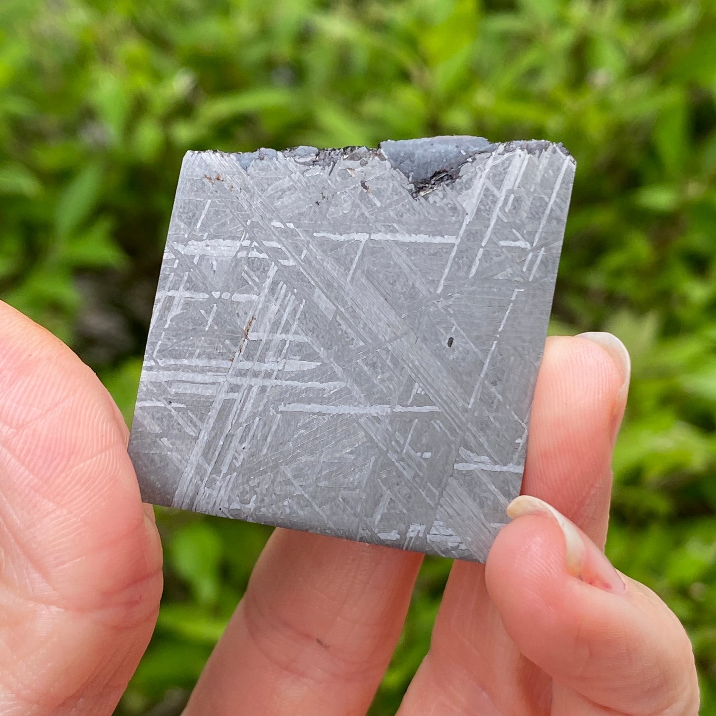 Muonionalusta Meteorite