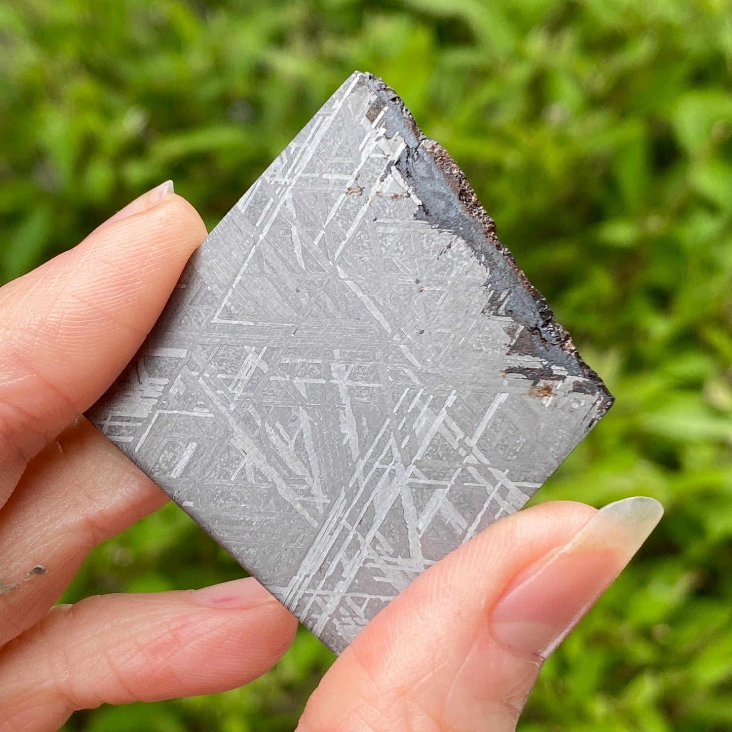 Muonionalusta Meteorite