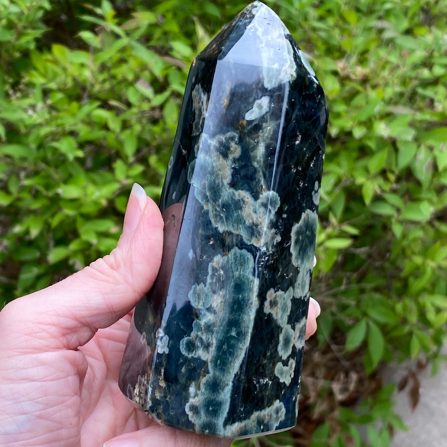 Ocean Jasper Tower