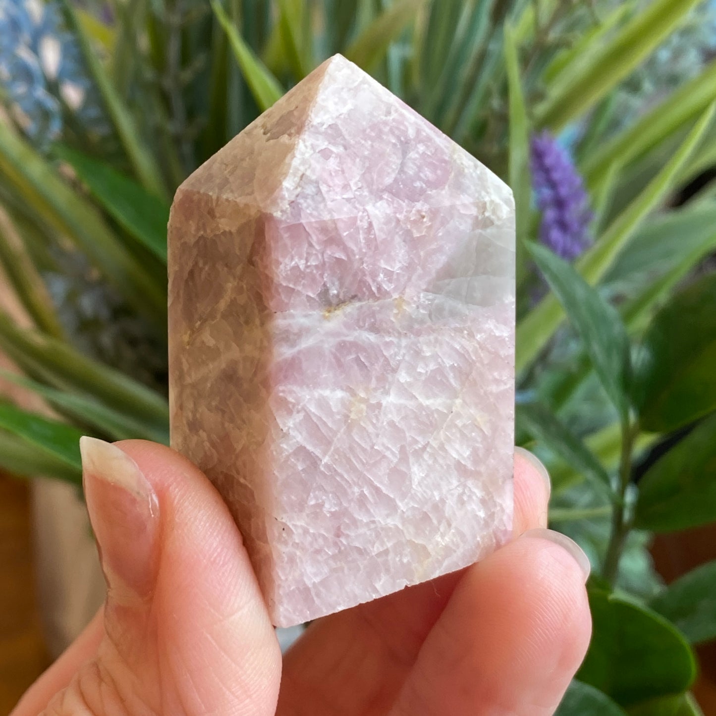 Pink Tourmaline Point