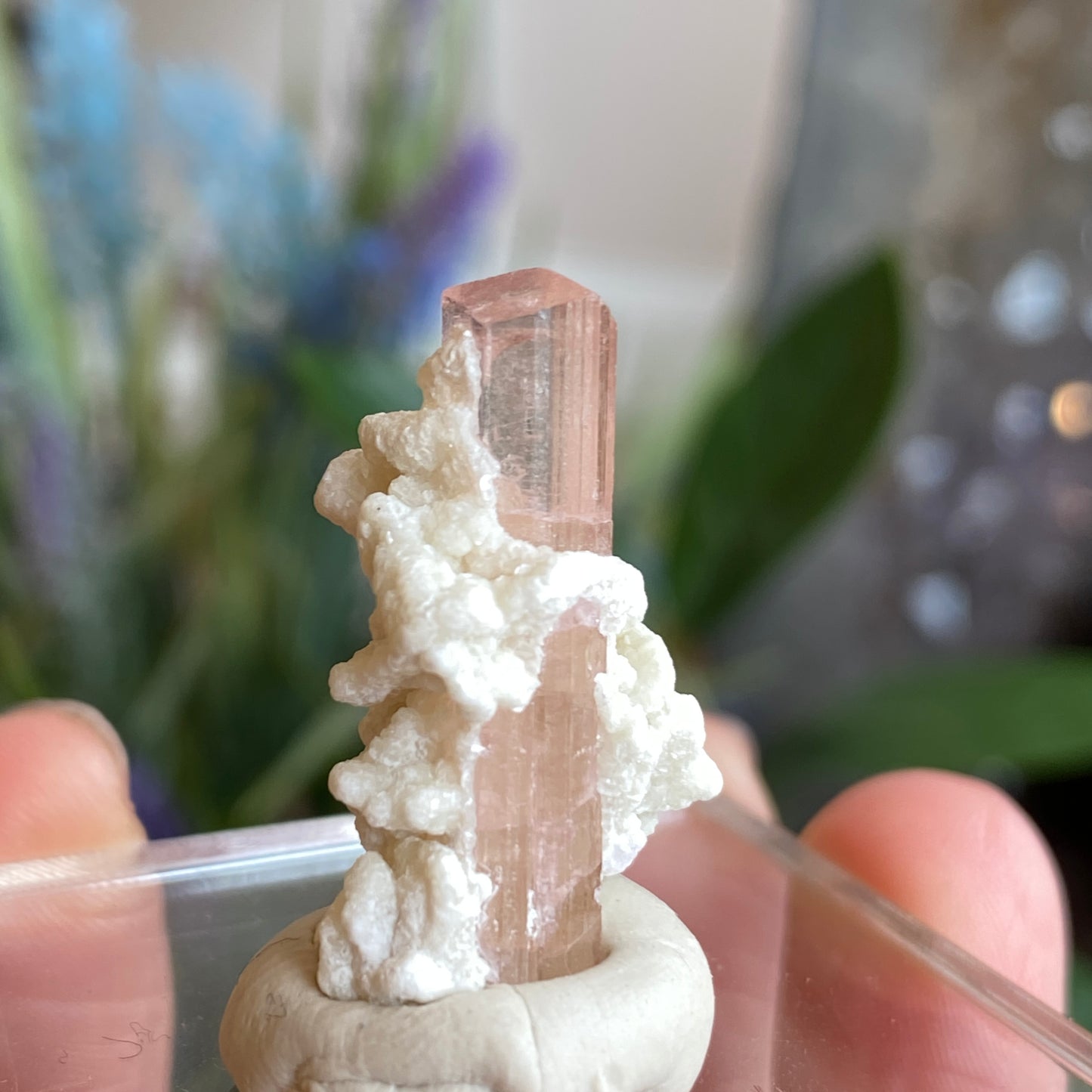 Pink Tourmaline