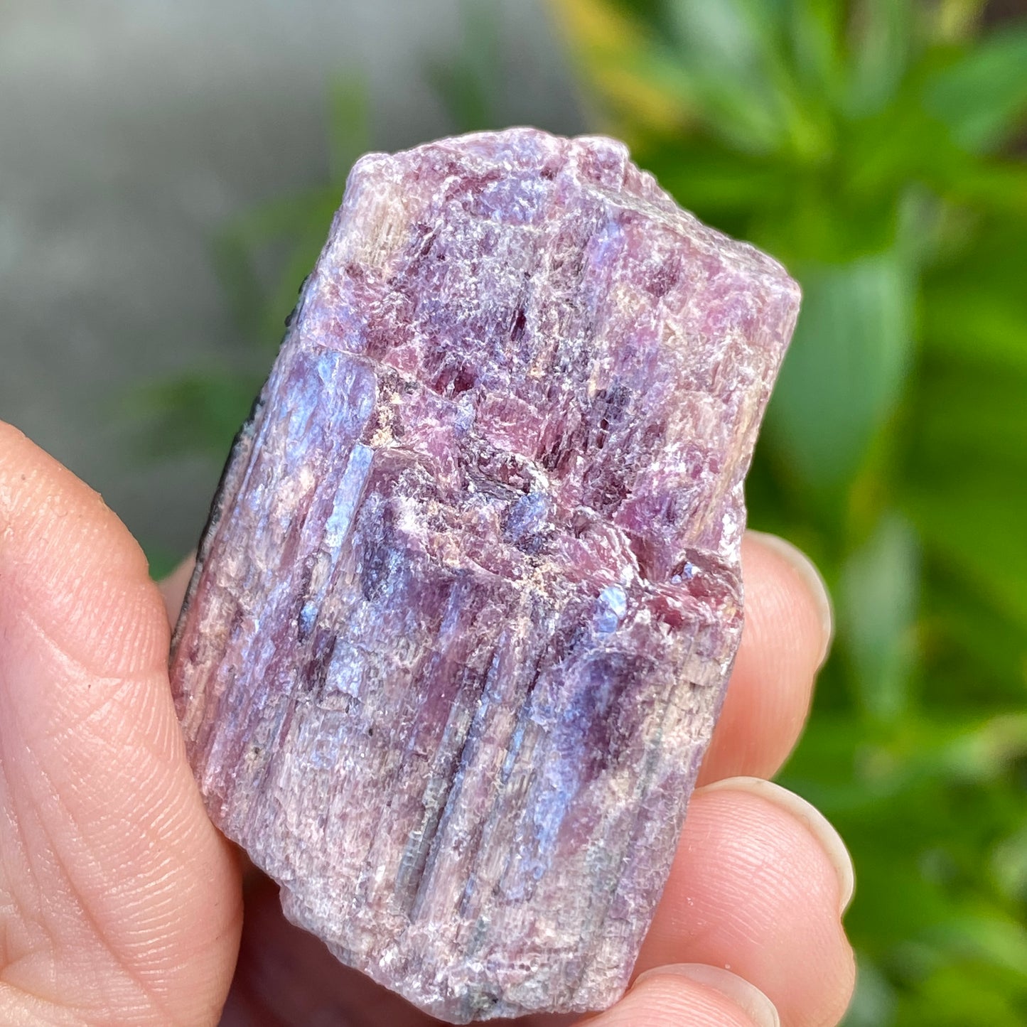 Rough Pink Tourmaline with Mica, Paribas