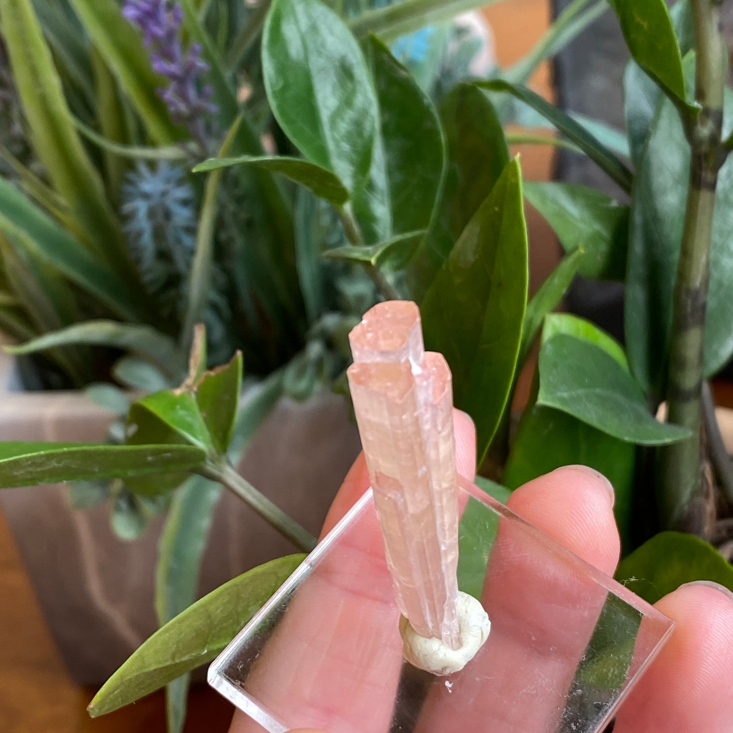 Pink Tourmaline