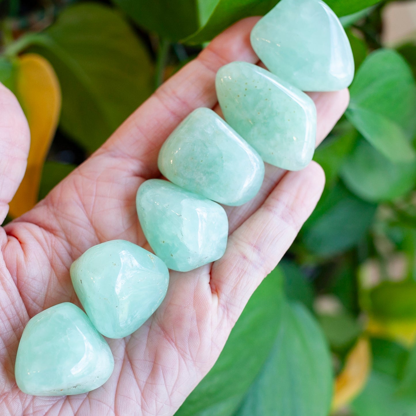 Large Prehnite Stone