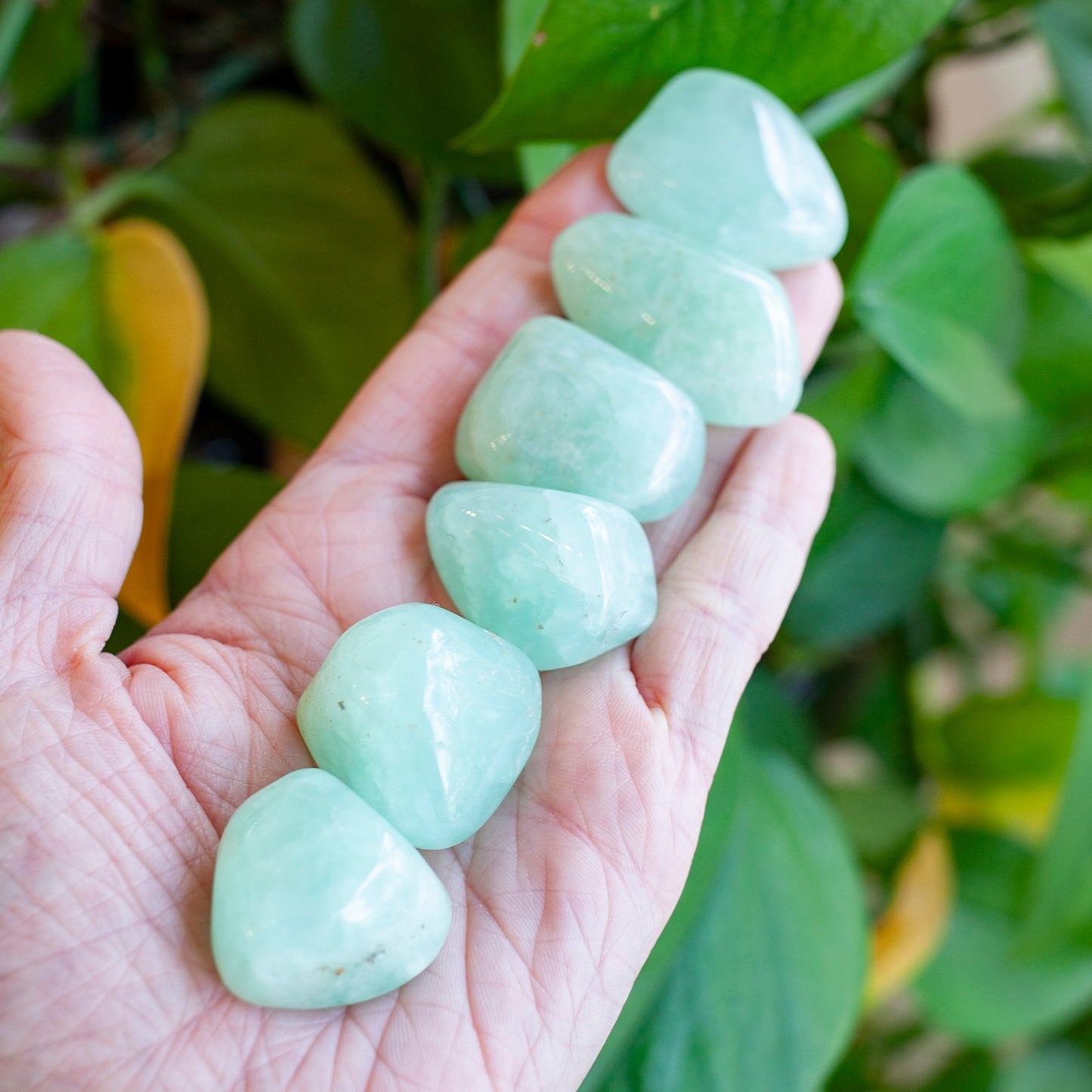 Large Prehnite Stone