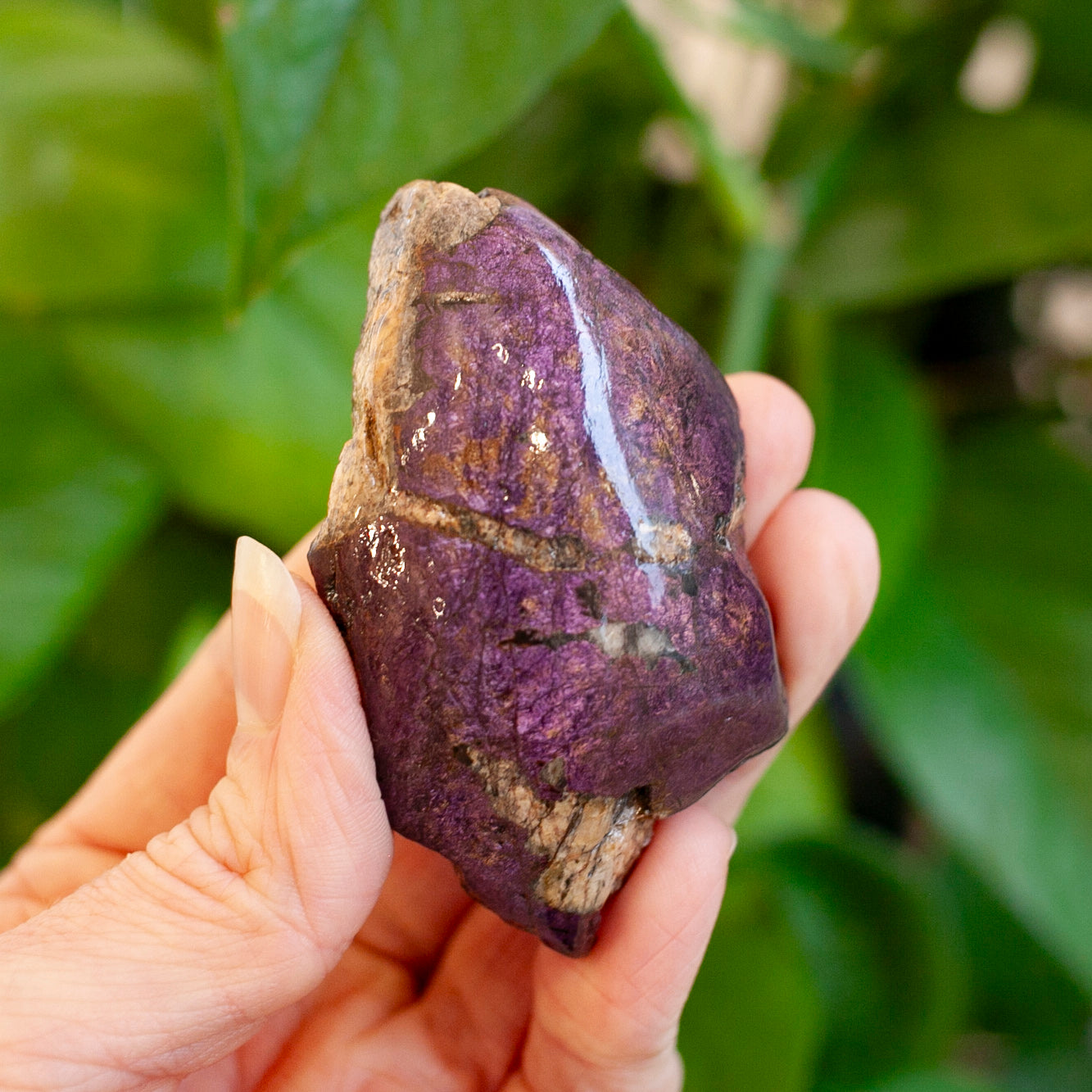 Purpurite Stone